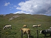 sicile 2008 287.jpg